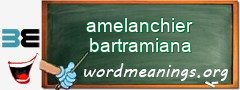 WordMeaning blackboard for amelanchier bartramiana